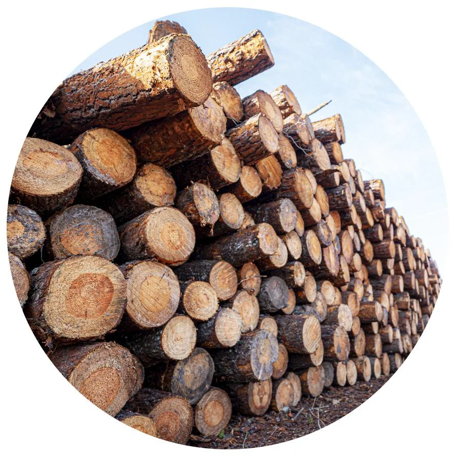 approvisionnement local pin maritime Carrelets planchettes emballage- péré & fils scierie marmande